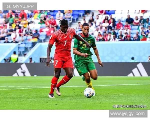 喀麦隆足球明星的传奇故事与成就揭秘