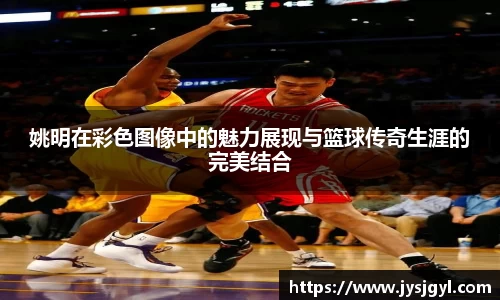 完美体育登录入口
